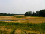 Grassy Hill Image